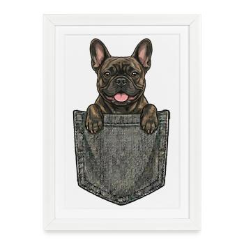Bouledogue Français dans la Poche - Chien Mignon - Affiche encadrée (27 × 37 cm) - blanc - Devant