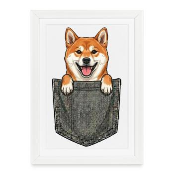 Shiba Inu - Chien Japonais Mignon dans la Poche - Affiche encadrée (27 × 37 cm) - blanc - Devant