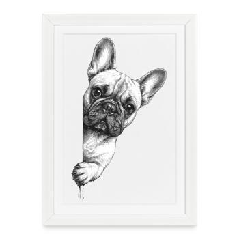 French Bulldog Portrait Curious - Framed poster (27 × 37 cm) - white - Front