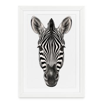 Zebra - Framed poster (27 × 37 cm) - white - Front