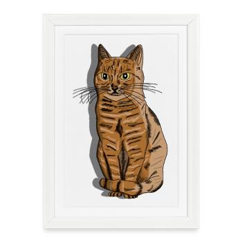 Illustration : Portrait d’un chat rayé - Affiche encadrée (27 × 37 cm) - blanc - Devant