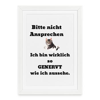 Saying cat annoyed - Framed poster (27 × 37 cm) - white - Front