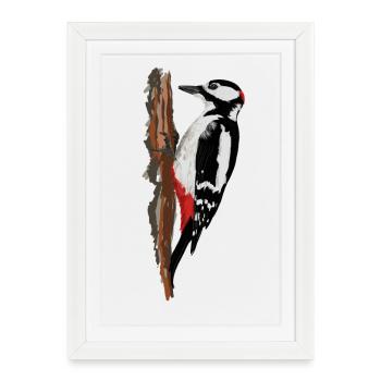 Woodpecker - Affiche encadrée (27 × 37 cm) - blanc - Devant