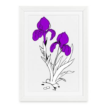 Lys - Affiche encadrée (27 × 37 cm) - blanc - Devant