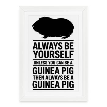Expressions du cochon d’Inde Cadeau du cochon d’Inde - Affiche encadrée (27 × 37 cm) - blanc - Devant