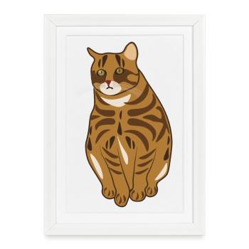 Landrace cat - Framed poster (27 × 37 cm) - white - Front