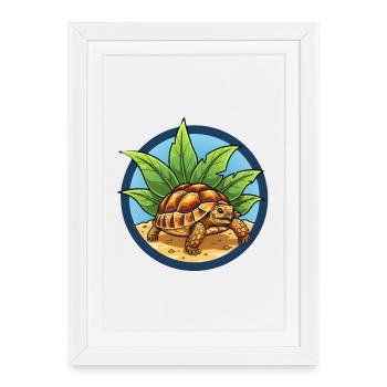 Tortue égyptienne - Affiche encadrée (27 × 37 cm) - blanc - Devant