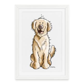 Golden Retriever - Affiche encadrée (27 × 37 cm) - blanc - Devant