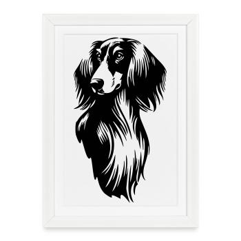Saluki Head - Framed poster (27 × 37 cm) - white - Front