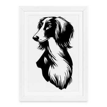 Saluki Head - Framed poster (27 × 37 cm) - white - Front