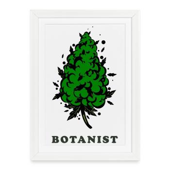 Botanist. Bud Silhouette - Framed poster (27 × 37 cm) - white - Front