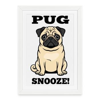 Chien Carlin Pug Snooze Canin Companion - Affiche encadrée (27 × 37 cm) - blanc - Devant