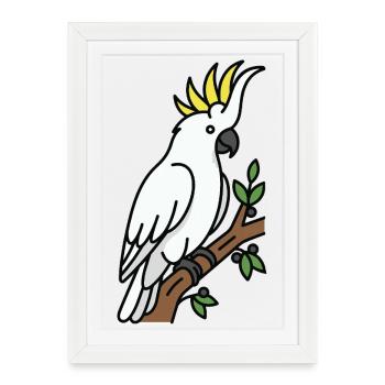 Cacatoès oiseau d’Australie - Affiche encadrée (27 × 37 cm) - blanc - Devant