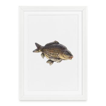 Common Carp Fishing Design Realistic Carp - Framed poster (27 × 37 cm) - white - Front