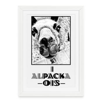 ALPAGA - i pack ois - Je peux tout faire - dialecte - Affiche encadrée (27 × 37 cm) - blanc - Devant