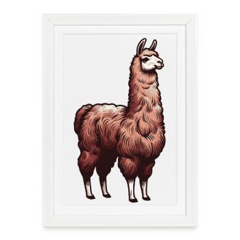 Lama brun - Affiche encadrée (27 × 37 cm) - blanc - Devant
