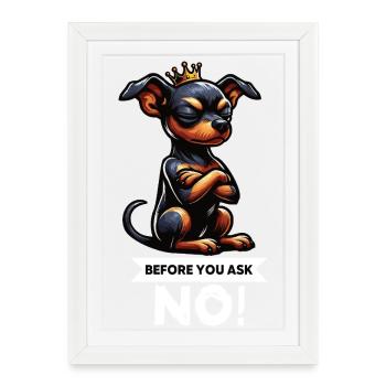 Avant de demander à un chien miniature pinscher pinscher - Affiche encadrée (27 × 37 cm) - blanc - Devant