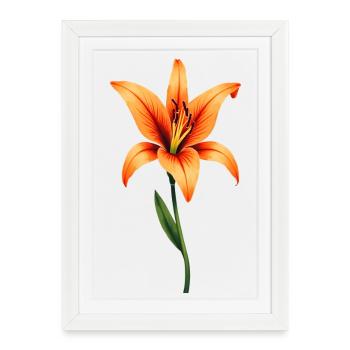 Lys - Affiche encadrée (27 × 37 cm) - blanc - Devant