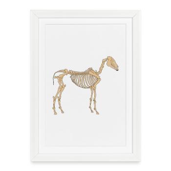 Paleolithic Skeleton Horse - Framed poster (27 × 37 cm) - white - Front