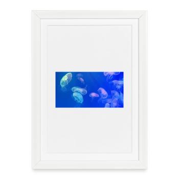 Blaues Quallenmuster - Gerahmtes Poster (27 × 37 cm) - Weiß - Vorne