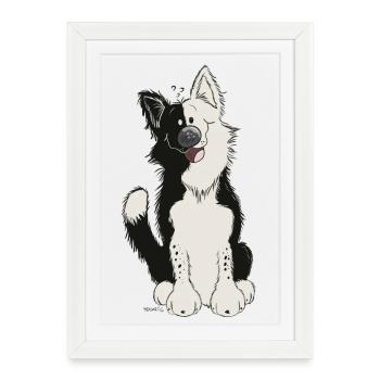 Mignon Border Collie - Affiche encadrée (27 × 37 cm) - blanc - Devant
