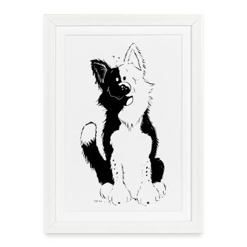 Cute Border Collie - Affiche encadrée (27 × 37 cm) - blanc - Devant