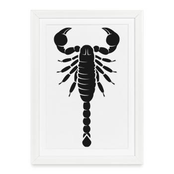 Symbole du Scorpion Cadeau Icône du logo du Scorpion - Affiche encadrée (27 × 37 cm) - blanc - Devant