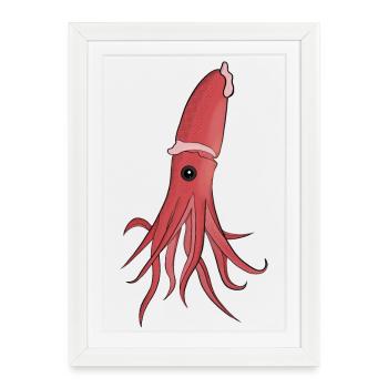 Créatures marines Un beau calmar - Affiche encadrée (27 × 37 cm) - blanc - Devant