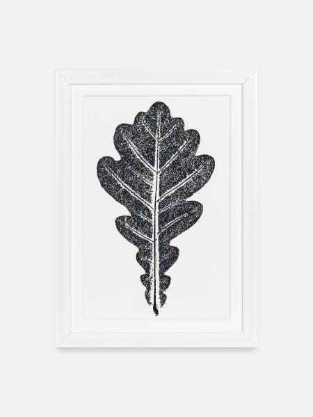 Eichenblatt / Botanischer Blätter - Abdruck - Gerahmtes Poster (27 × 37 cm) - Weiß