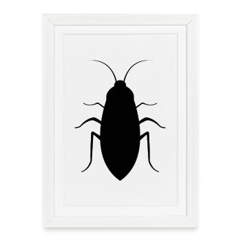 Cafard - Affiche encadrée (27 × 37 cm) - blanc - Devant