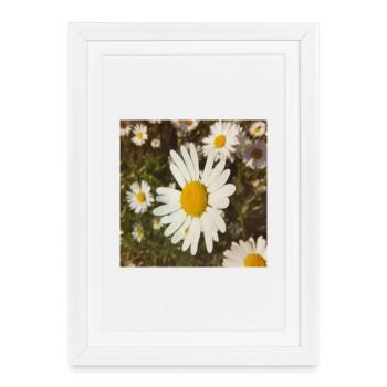 Daisies Sunlight - Framed poster (27 × 37 cm) - white - Front