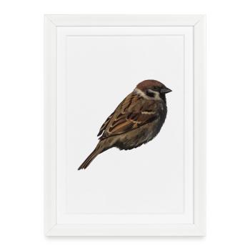 Spatz2 - Gerahmtes Poster (27 × 37 cm) - Weiß - Vorne