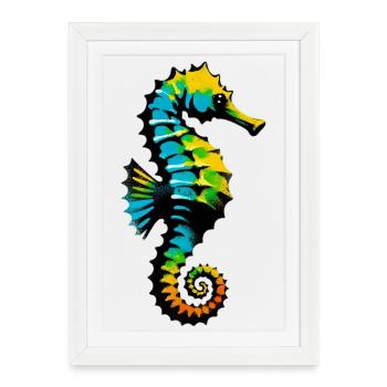 Hippocampe - Affiche encadrée (27 × 37 cm) - blanc - Devant