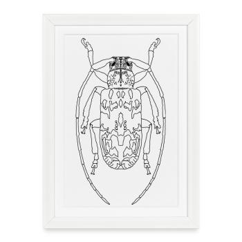 Skalbagge - Framed poster (27 × 37 cm) - white - Front