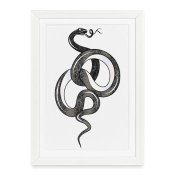 Fascinating snake in black glossy structure - Framed poster (27 × 37 cm) - white - Front