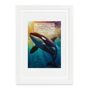 Orca Underwater Hope Verse - Affiche encadrée (27 × 37 cm) - blanc - Devant
