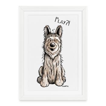 Berger Picard - Chien- Cadeau - Affiche encadrée (27 × 37 cm) - blanc - Devant