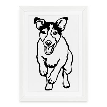 Jack Russell Terrier - Affiche encadrée (27 × 37 cm) - blanc - Devant