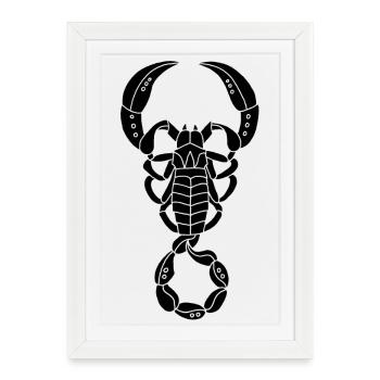 Scorpion noir - Affiche encadrée (27 × 37 cm) - blanc - Devant
