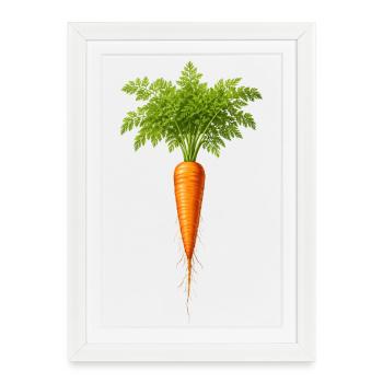 Illustration de légumes naturels à la carotte fraîche - Affiche encadrée (27 × 37 cm) - blanc - Devant