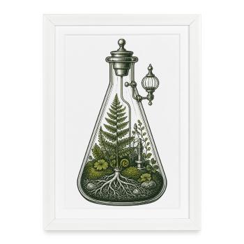 Illustration scientifique du terrarium en gobelet botanique - Affiche encadrée (27 × 37 cm) - blanc - Devant