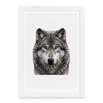 Portrait du Loup de Minuit - Affiche encadrée (27 × 37 cm) - blanc - Devant