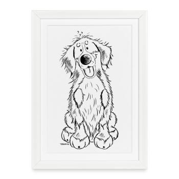 Bouvier Bernois - Affiche encadrée (27 × 37 cm) - blanc - Devant