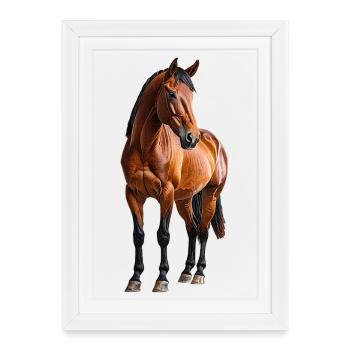 Horse - Framed poster (27 × 37 cm) - white - Front