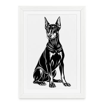Doberman sitting - Framed poster (27 × 37 cm) - white - Front
