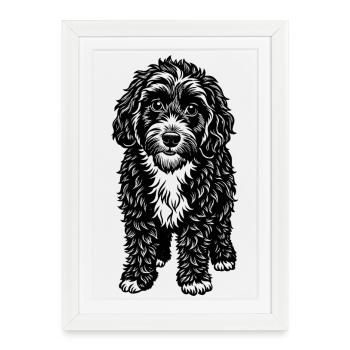 Cockapoo - Framed poster (27 × 37 cm) - white - Front