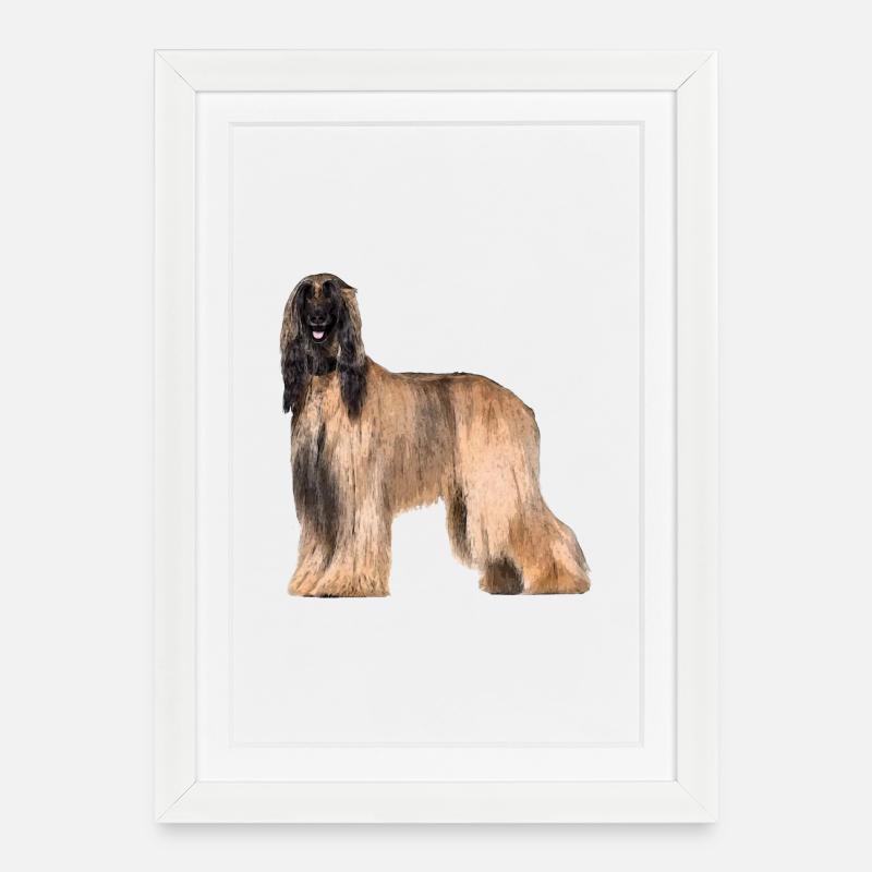 afghan - Affiche encadrée (27 × 37 cm) - blanc