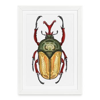 Big Stag - Coléoptère cerf géant - Affiche encadrée (27 × 37 cm) - blanc - Devant