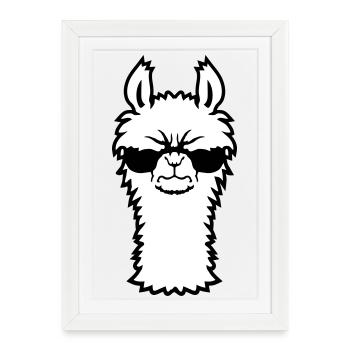Llama Angry Cool Sunglasses Furry Alpaca Sour - Framed poster (27 × 37 cm) - white - Front
