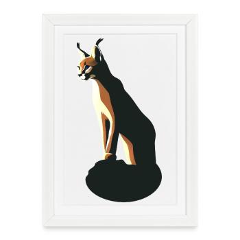Caracal - Framed poster (27 × 37 cm) - white - Front